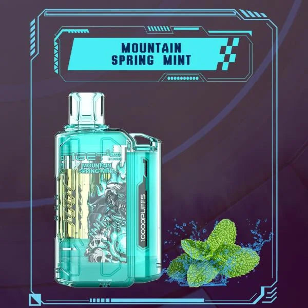 IGET FLARE B10000 – Mountain Spring Mint - Vape Shop Nashik