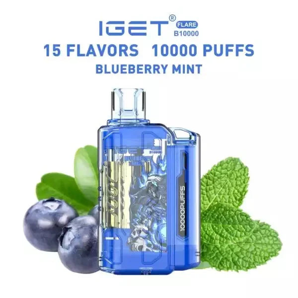 IGET FLARE B10000 – Blueberry Mint - Vape Shop Nashik